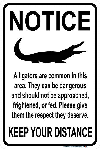 Notice, Alligators are Common in This Area Sign