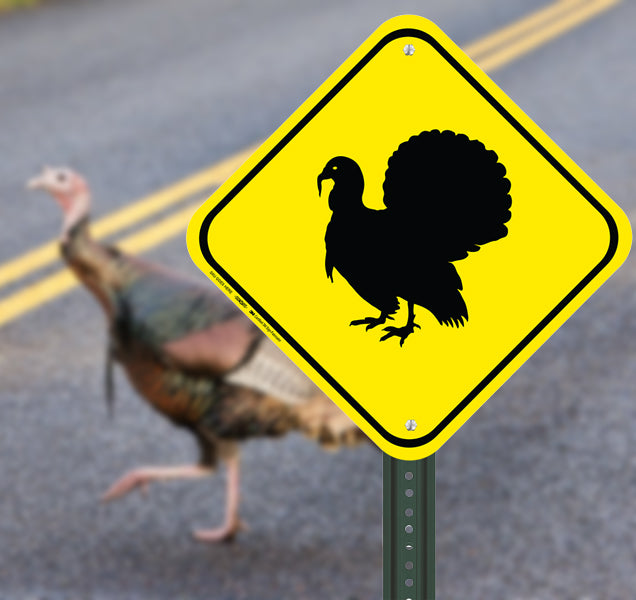 Interstate Signways Turkey Crossing - High Quality Aluminum Sign, Made in the USA