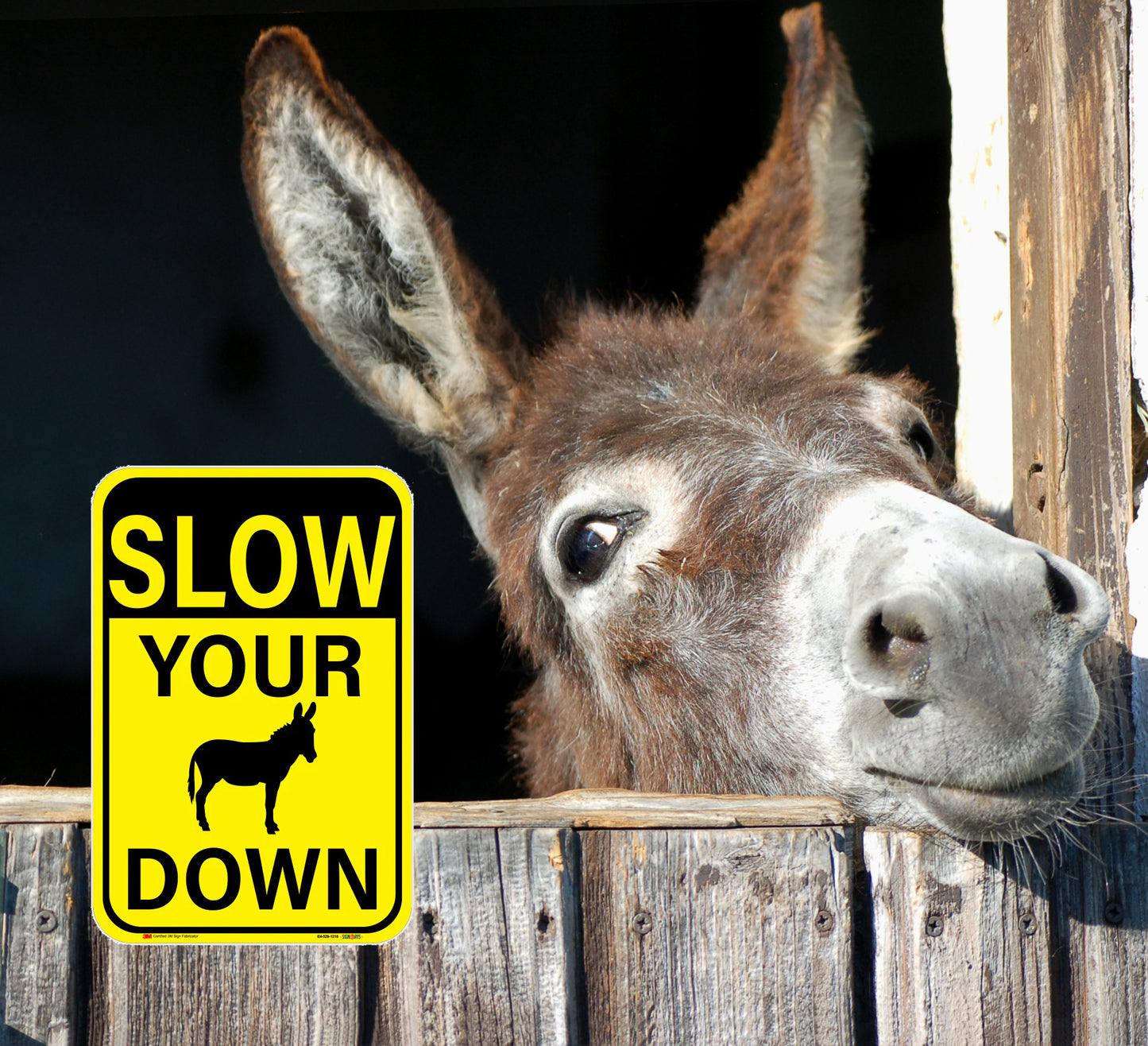 SignWays Slow Your Donkey (Ass) Down Sign