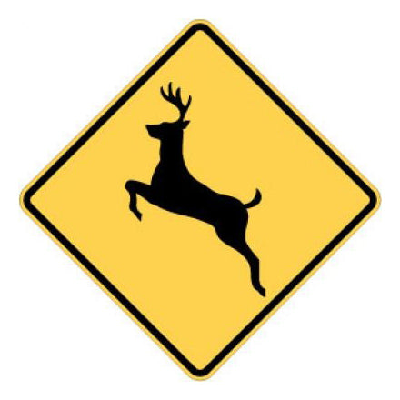 Crossing