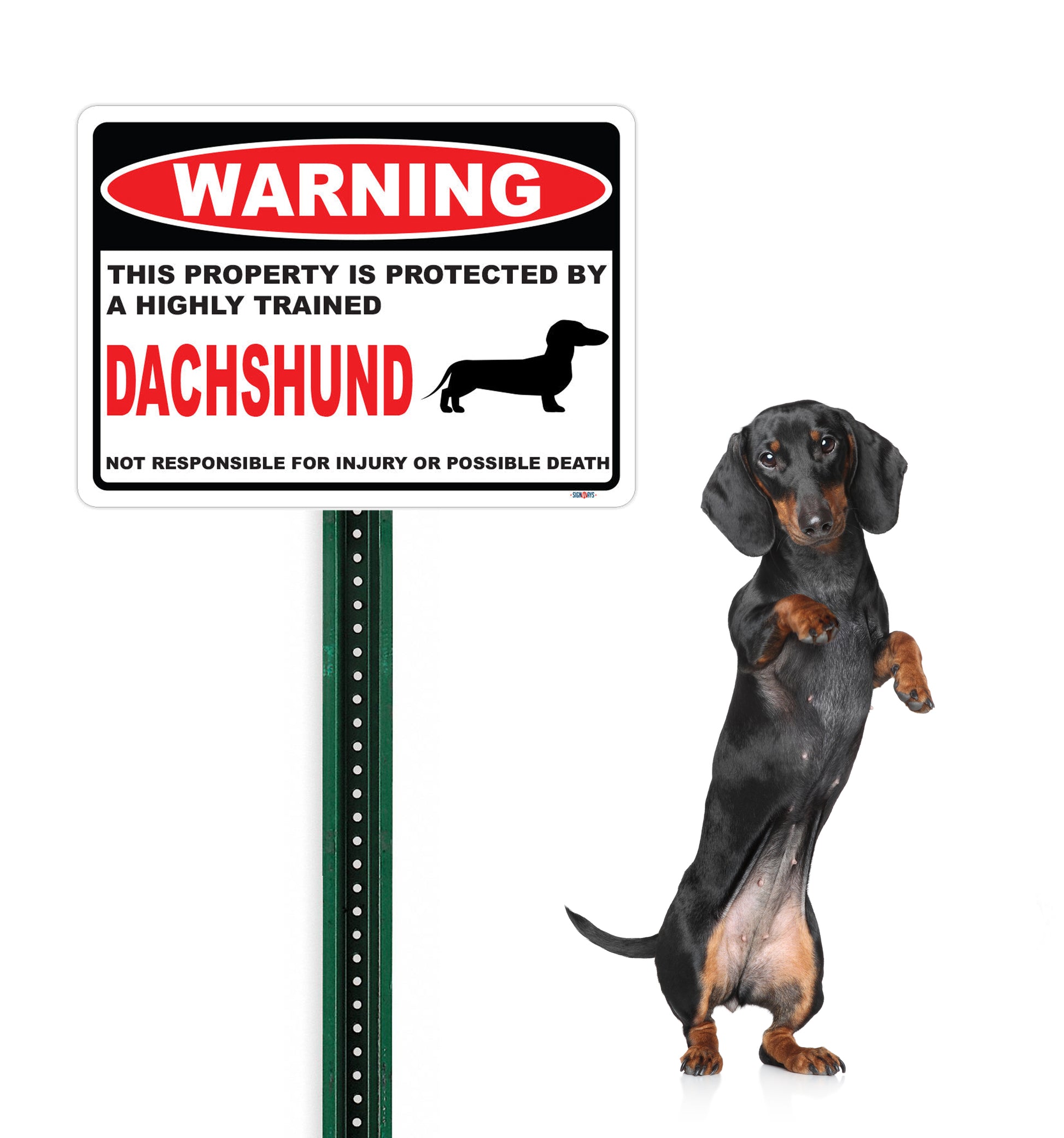 Beware of Dachshund Dog Sign