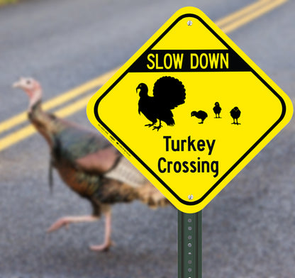 Turkey with Chicks Crossing - High Quality Aluminum Sign, Made in the USA
