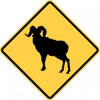 W11-18 Bighorn Sheep Crossing