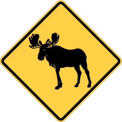 W11-21 Moose Crossing
